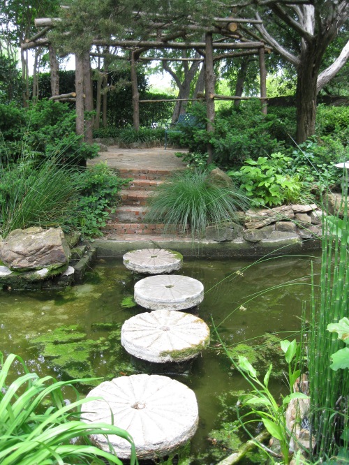 pond path